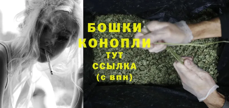 купить наркотик  Борисоглебск  Конопля Ganja 